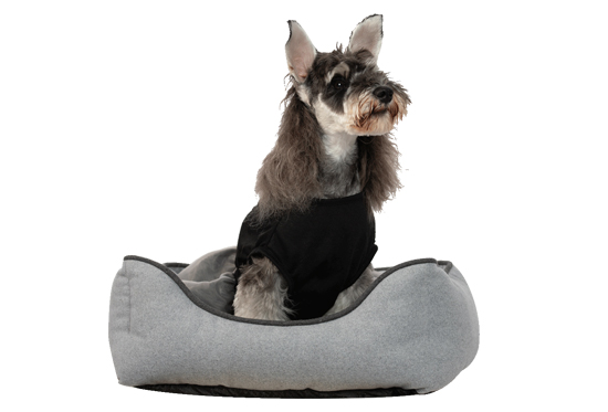 Pet Bed