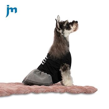 How to choose clothes for your pet