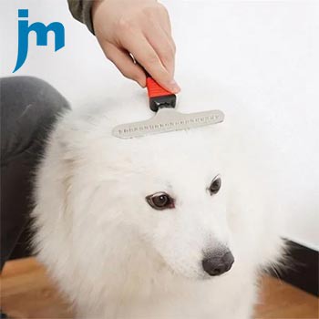 Dog molar stick Dog Brushes And Combs manufacturer