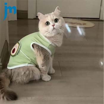 Pet Clothes Sent To The United States